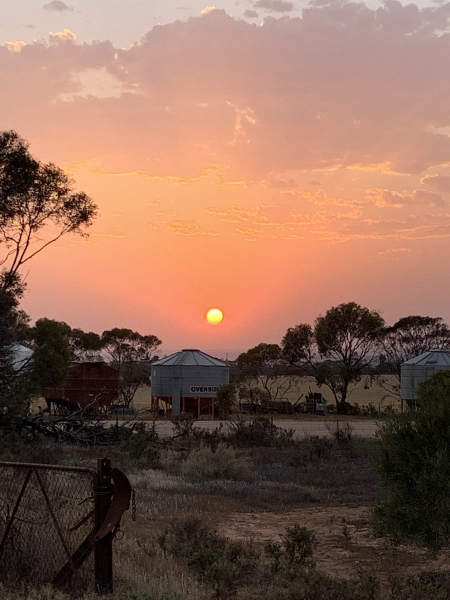 AgCactus's tweet photo. Good morning angry sky. A scorching sun in the east and light show in the west. Should be another cracker day #toohotinthewaterbottle #thunderstorms #thisisstraya https://t.co/LxZmUsOtZs