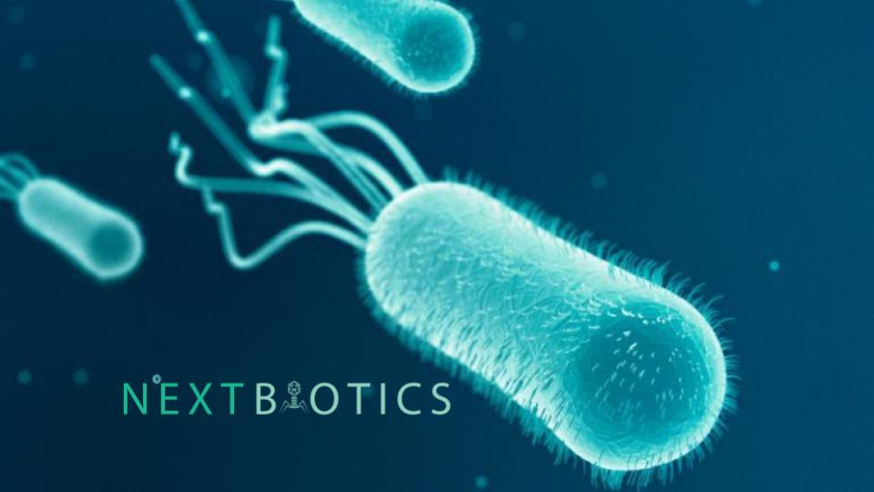 nextbiotics's tweet photo. Nextbiotics is leveraging synthetic biology to develop antibiotic alternatives to address the antibiotic resistance crisis. We engineer bacteriophages - viruses that only infect bacteria.⁠
.
.
#biotechstartups #changingthefuture #antibioticalternatives #animalhealth https://t.co/KUWFfm1FmU
