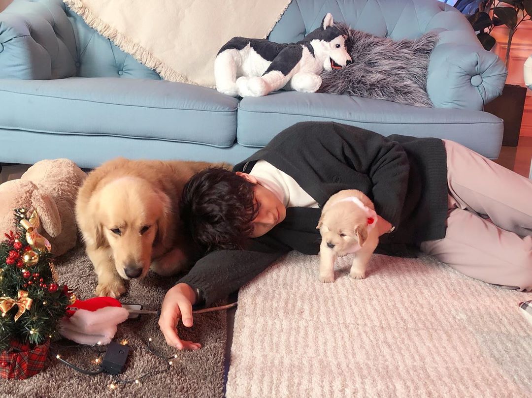 VIXXGUATEMALA's tweet photo. @HSangHyuk [IG] ★ #Hyuk -1-

: Pasaron por mucho perritos..🐕
#겨울이 #나비 #겨울나비 #WinterButterfly
#쉽지않았던 (#NoFueFacil) #카우치토크 (#CaughtTalk)
 https://t.co/AoO1OJbYdm

__
★ https://t.co/3oXVjajWyB