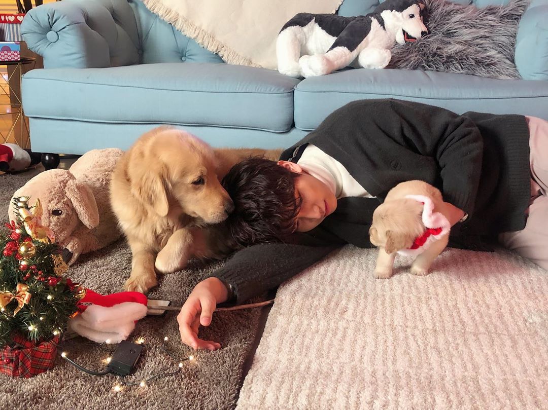 VIXXGUATEMALA's tweet photo. @HSangHyuk [IG] ★ #Hyuk -1-

: Pasaron por mucho perritos..🐕
#겨울이 #나비 #겨울나비 #WinterButterfly
#쉽지않았던 (#NoFueFacil) #카우치토크 (#CaughtTalk)
 https://t.co/AoO1OJbYdm

__
★ https://t.co/3oXVjajWyB