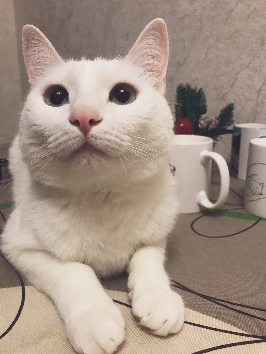 ☃️Чувствуете приближение Нового года?

Для создания новогоднего настроения предлагаю попробовать смузи из банана и хурмы! 🍌 Рецепт уже на моём блоге!

Вам точно понравится!