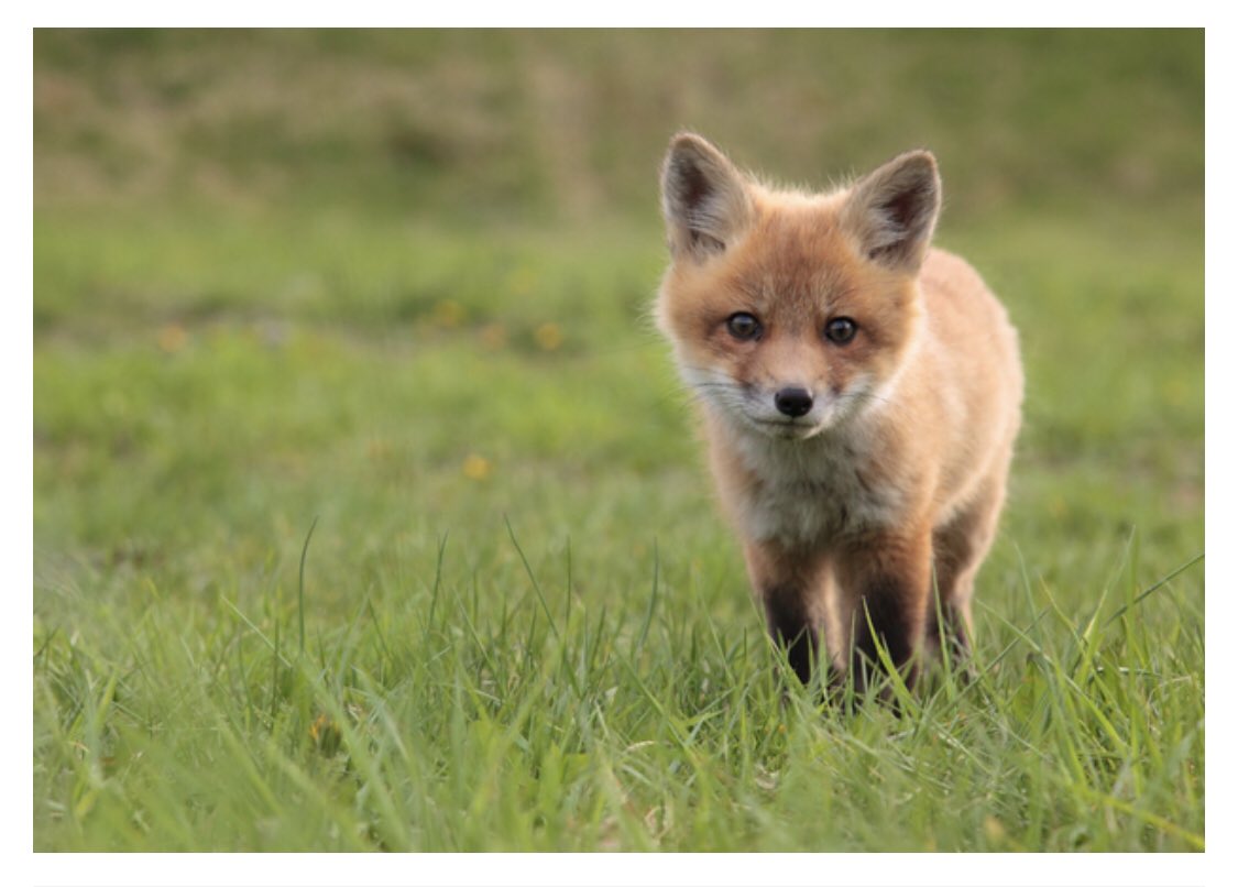 ぽんぴん Aikyon0xxx Twitter