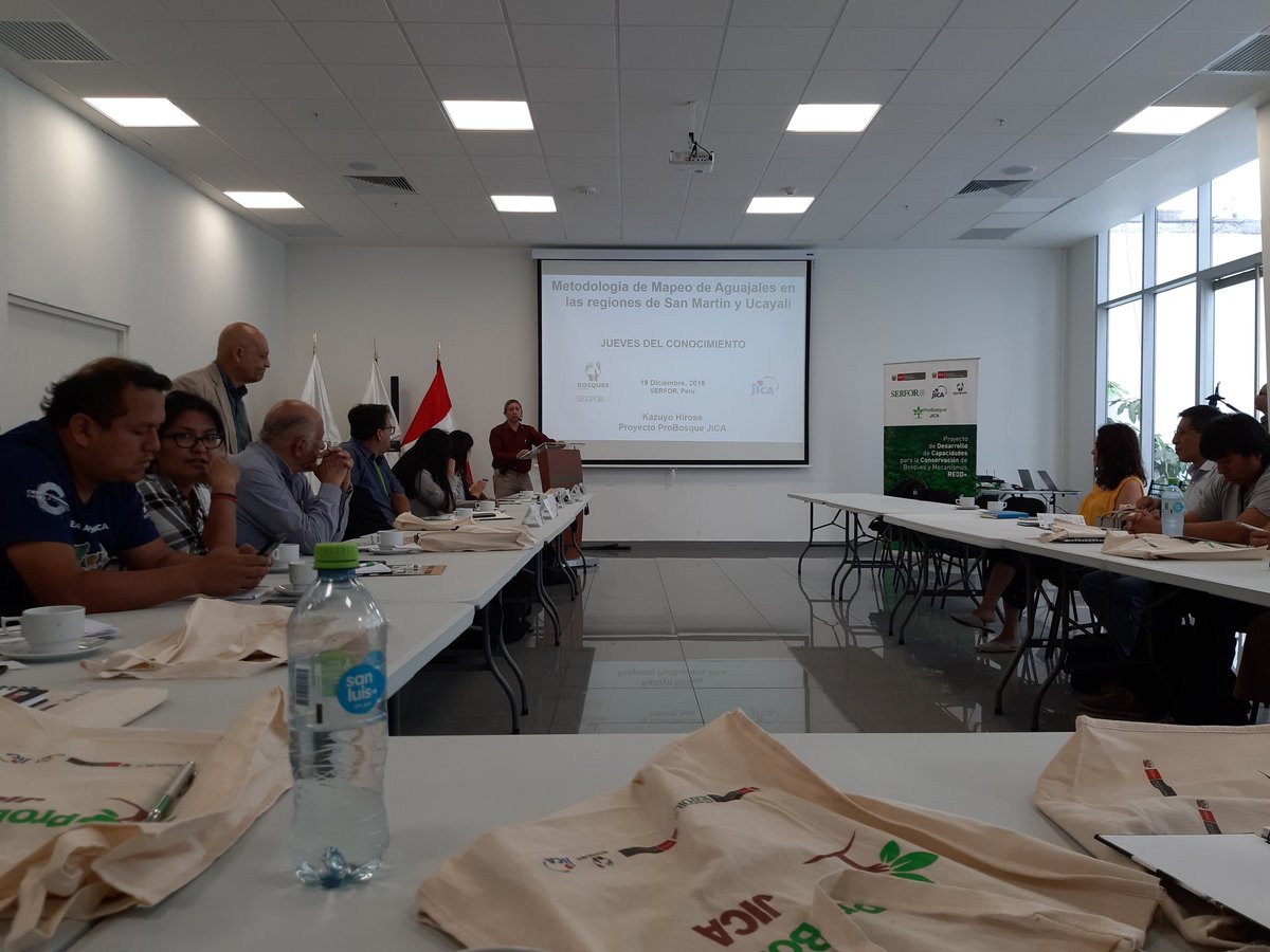 idersanmartin's tweet photo. Presentacion de la Metodología de mapeo de aguajales en las regiones se San Martín y Ucayali.
#idersam #JICA #japanspacesystems
#serfor https://t.co/RA7W4cp1qx