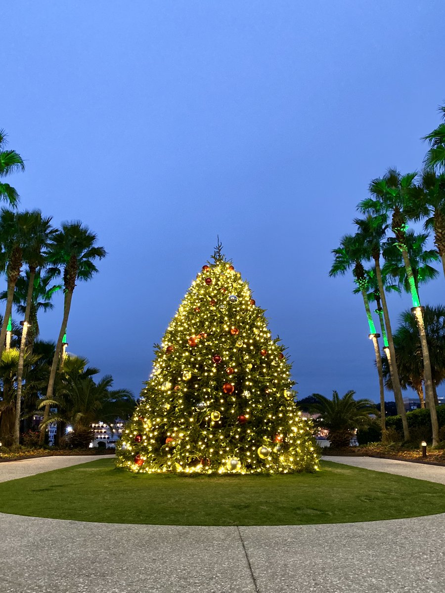 Visit Savannah tweet media