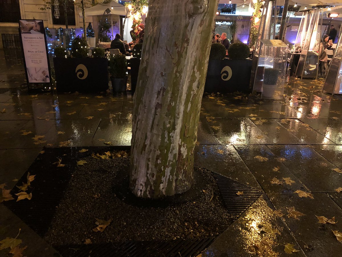Anasaised's tweet photo. @Lineamadrid ayer en la Plaza de la Independencia 3 de Madrid mi madre tropezó con 1 agujero en la acera. El estado generalizado de la zona es pésimo. Está lleno de agujeros. Mi madre se golpeó la cara haciéndose una brecha en la ceja y rompiéndose las gafas. Urge su reparación https://t.co/1Zzgf0CbxI