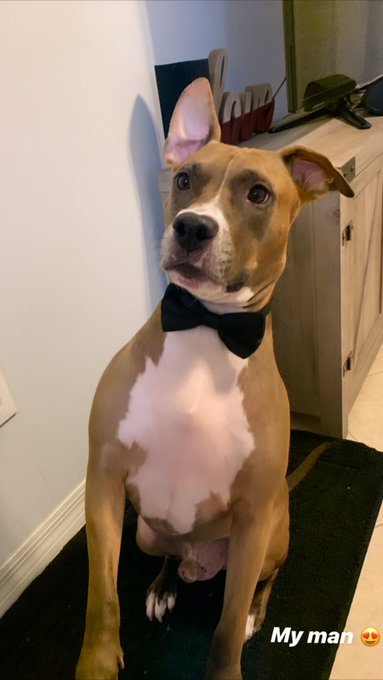 Oh my goodness! Look at my handsome boy!!! 😍 https://t.co/E73osRilGQ<a href="/tag/misscoedjan2014"class="tags"><span>#misscoedjan2014</span></a>
