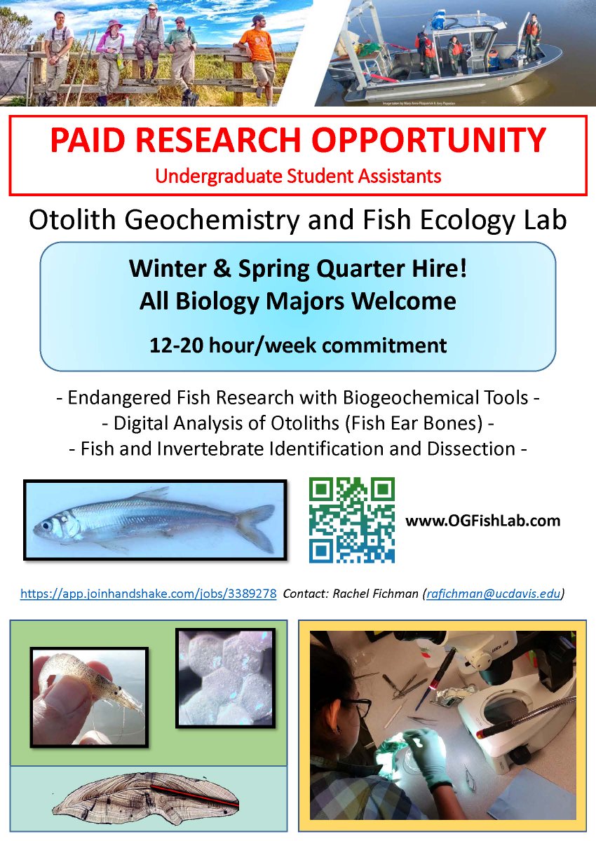 FishFichman's tweet photo. We're Hiring Undergraduate Student Assts in the Otolith Geochemistry and Fish Ecology Lab at @ucdavis @WFCB_UCDavis https://t.co/7dYBl19f4H @HobbsLab #OGFL #OGFishLab #fishHER @accretinglife @Rocksandbones @jkfordays @UCDavisWater https://t.co/hXASKwdrf9