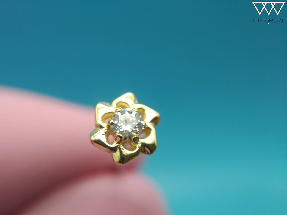 ipricku's tweet photo. I'll be here till 10pm. Only a couple more days till the holiday!  What are you hopeful you receive this year? Maybe one of these "Kari" ends from @ANATOMETAL ? #ipricku #statenisland #nyc #garyveechallenge #anatometal #bodyjewelry https://t.co/zCfZDyu3y4