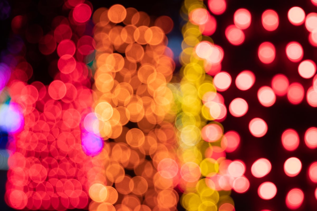 woodlandparkzoo's tweet photo. We love our neighborhood! Our Phinney Ridge faves, @adasonphinney @zeekspizza @parkpub @WindyCityPie @AlaModepies and Modern Japanese Cuisine, are offering 10% off select items for zoo guests. Just show a WildLights ticket, zoo ticket or membership card between Nov 29 and Jan 5! https://t.co/qxPLpyWhEv