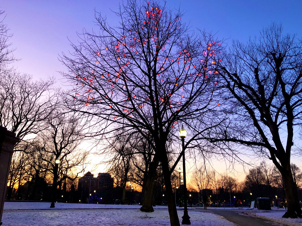 Emjay1028's tweet photo. It’s #Christmastime in the city. 🎄❤️❄️ #ViewFromEveningCommute #ParkStreet #BostonCommon #Sunset #Boston #Winter #FridayEve https://t.co/pH9YuZ3SYK