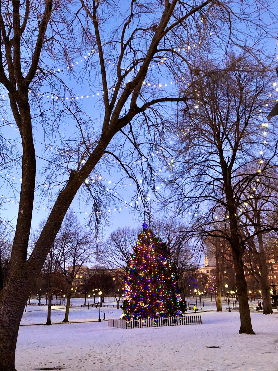 Emjay1028's tweet photo. It’s #Christmastime in the city. 🎄❤️❄️ #ViewFromEveningCommute #ParkStreet #BostonCommon #Sunset #Boston #Winter #FridayEve https://t.co/pH9YuZ3SYK