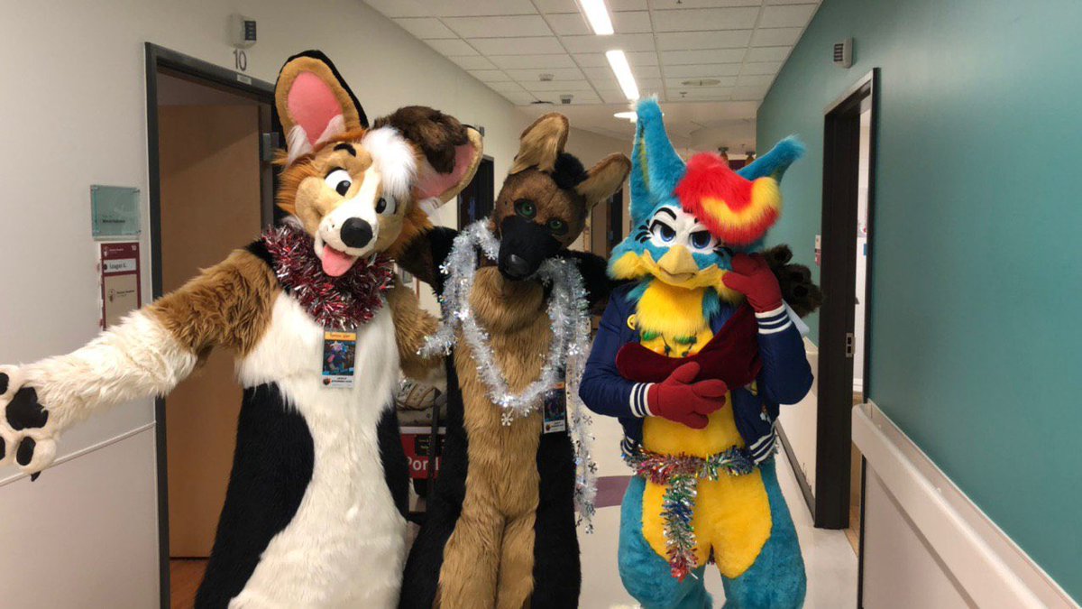 Loaf Corgi🍞 tweet media