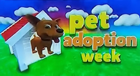 tpirepguide's tweet photo. 12.19.19 (8944K) https://t.co/2Fez35QIIn #PetAdoptionWeek https://t.co/lPoLvT3x3Z