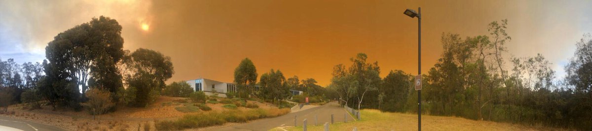 TexanInOz's tweet photo. Not my usual post, but this is what it is like in Australia now. Dry and on fire. This is a sunset @AustralianBG through all of the smoke from the Blue Mountains. So far this garden has been safe from fires. https://t.co/b3mCQfw55w