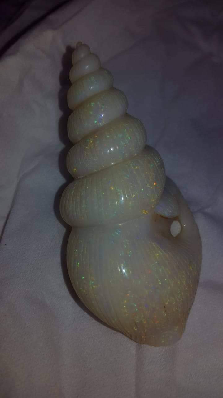 津原泰水文章講座19 Ebisu Kouza19 Twitter