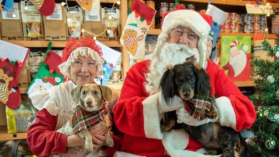Ho ho ho! Merry Christmas!! 🎄🎁  #threedogbakery #lasvegas #henderson #summerlin #christmastreats #ChristmasSpirit