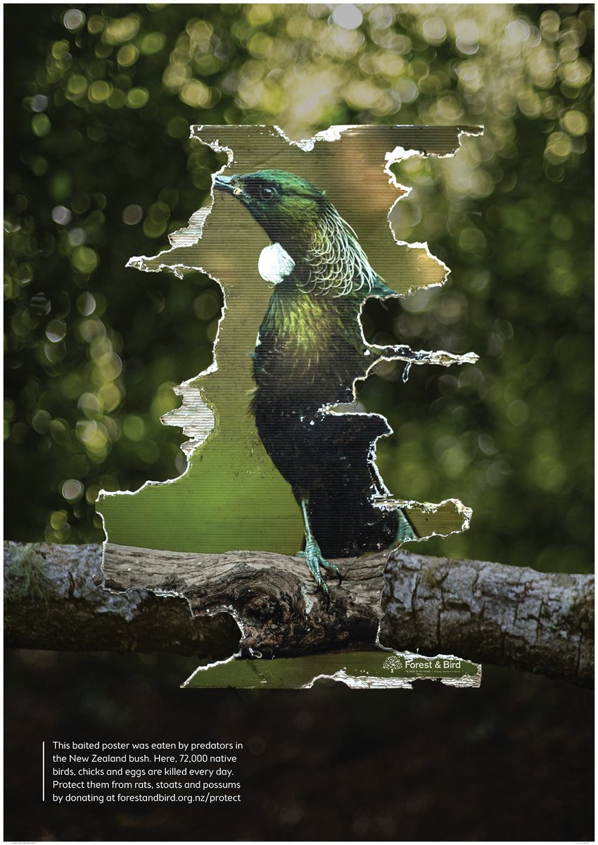 <a href="/ColensoBBDO/">Colenso BBDO</a> The <a href="/ColensoBBDO/">Colenso BBDO</a> campaign on billboards around New Zealand aims to raise awareness and rally New Zealand around the ambitious goal of a predator-free New Zealand by 2050.