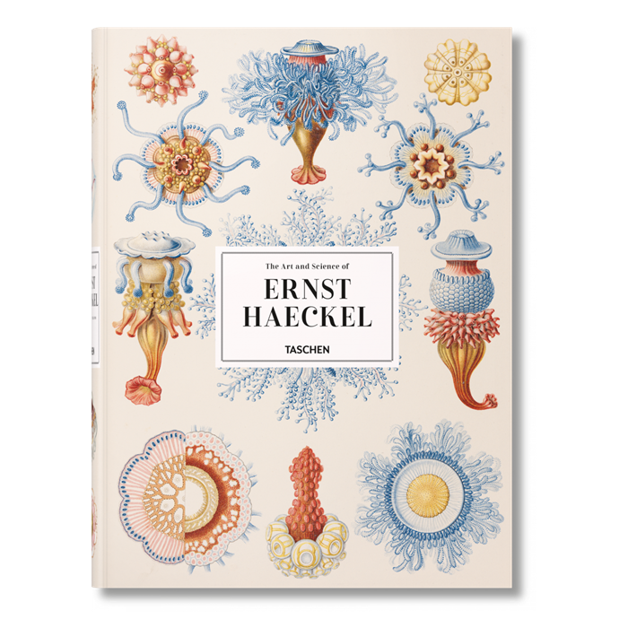 PERfectGift2019's tweet photo. Who doesn't like to curl up with a good book in this #snow-y weather?🌨️ How about an exquisite art &amp; science book donated by @typebooks to our silent auction? Find it, and other literary goodies, here! ����🎁https://t.co/Qlo1Q0ggri #book #charity #perfectgift #holidays #sickids https://t.co/uUpqIoobiD