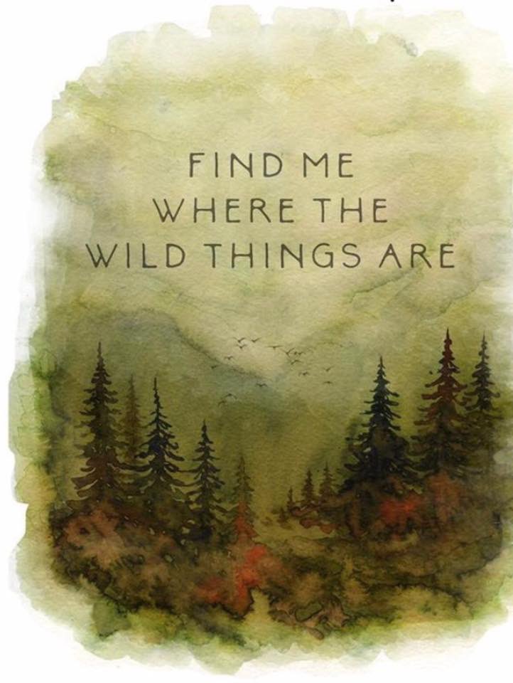 RV♥r (@tweetthisrv) on Twitter photo 