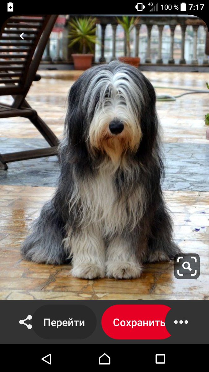 JbKristya's tweet photo. @silent_oowl @cutecotton_ Вот почему)) https://t.co/zprjE9ZnHg