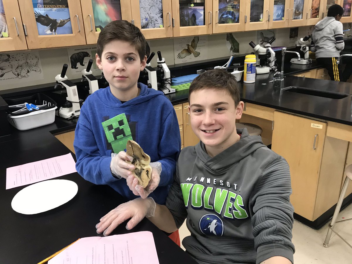 prmspl's tweet photo. Lots of hands-on learning in Mrs. Silverain’s 7th grade science class @PRMTrailblazers! Whether developing a model of a heart with clay or finding parts of a pig heart and determining their purpose and function, everyone was learning and having fun! #prmswebelieve https://t.co/ue9kJupWGD