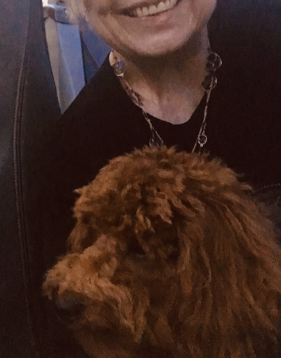madamehuang's tweet photo. I have the best seat mate on my flight to #nyc - quiet, well-mannered, and a very good boy. Getting ready to enjoy a whole lotta #cookbooks for the #jbfawards https://t.co/xl1pJF2eVg