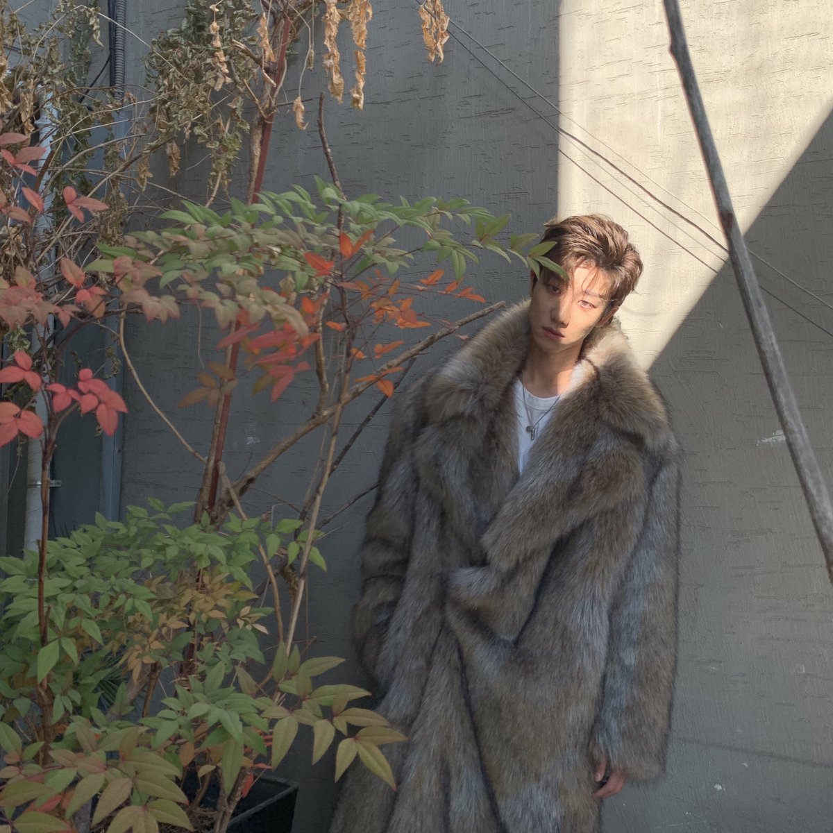pledis_17's tweet photo. [17'S THE 8] 🐺🐺🐺 https://t.co/pnyszSFrKM