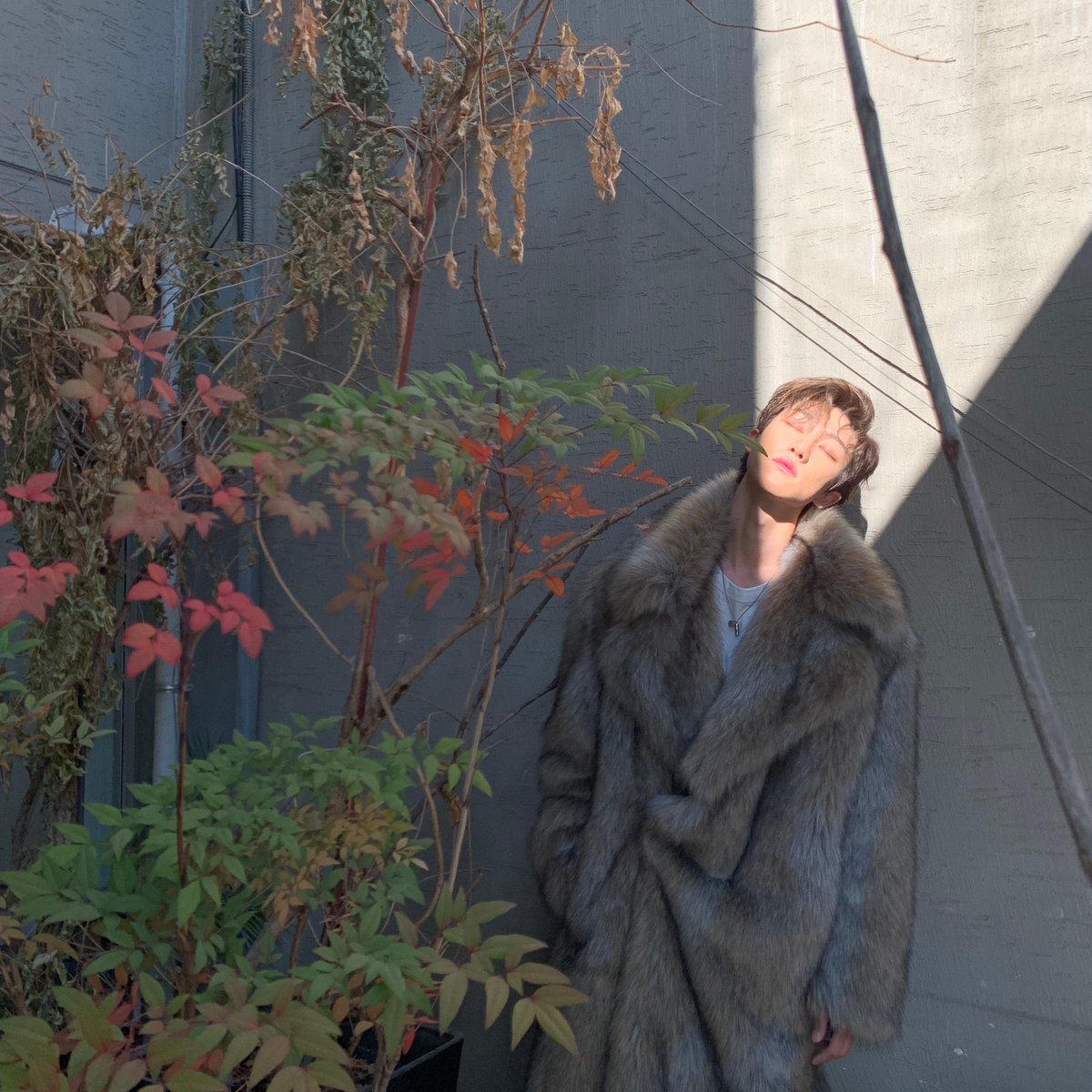 pledis_17's tweet photo. [17'S THE 8] 🐺🐺🐺 https://t.co/pnyszSFrKM