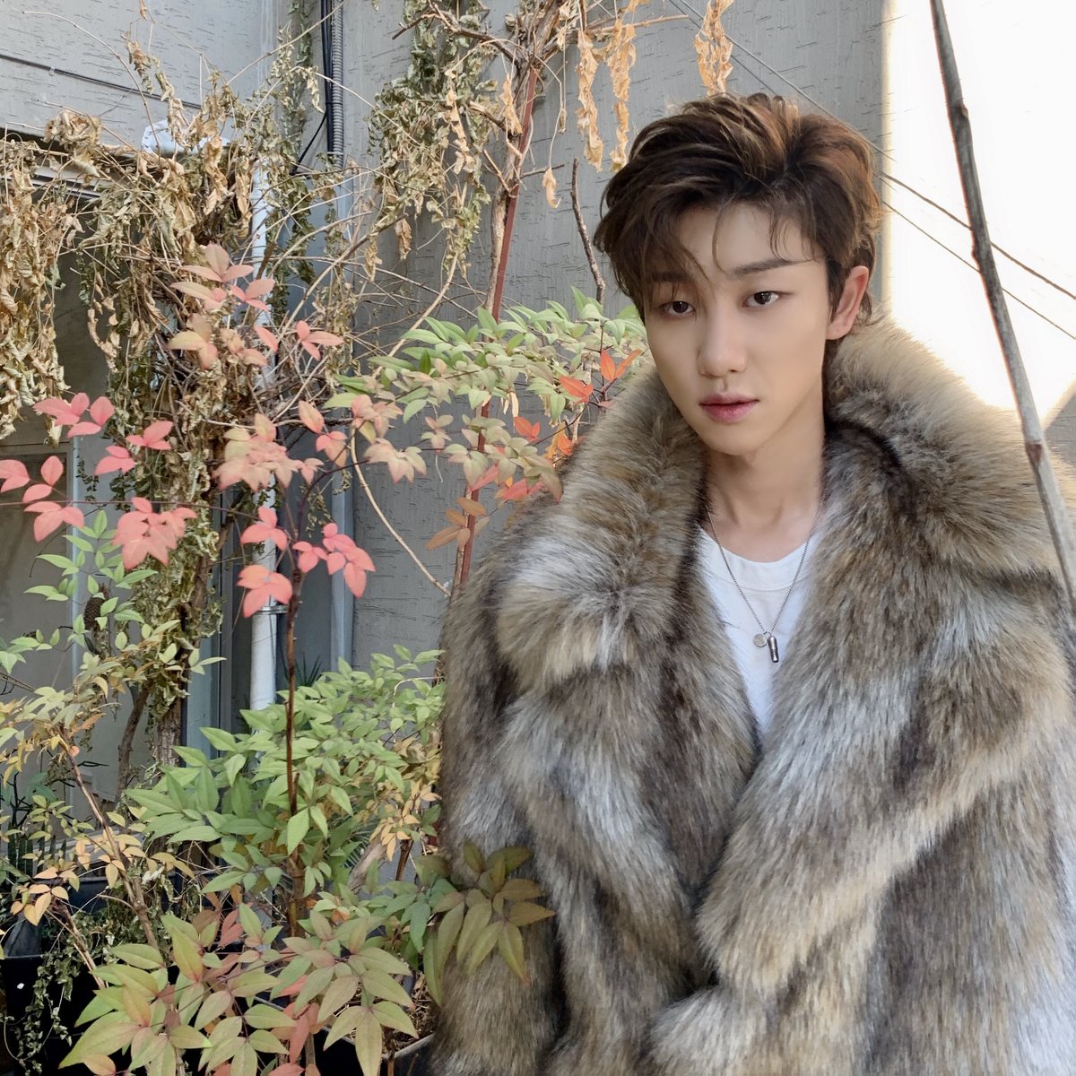 pledis_17's tweet photo. [17'S THE 8] 🐺🐺🐺 https://t.co/pnyszSFrKM
