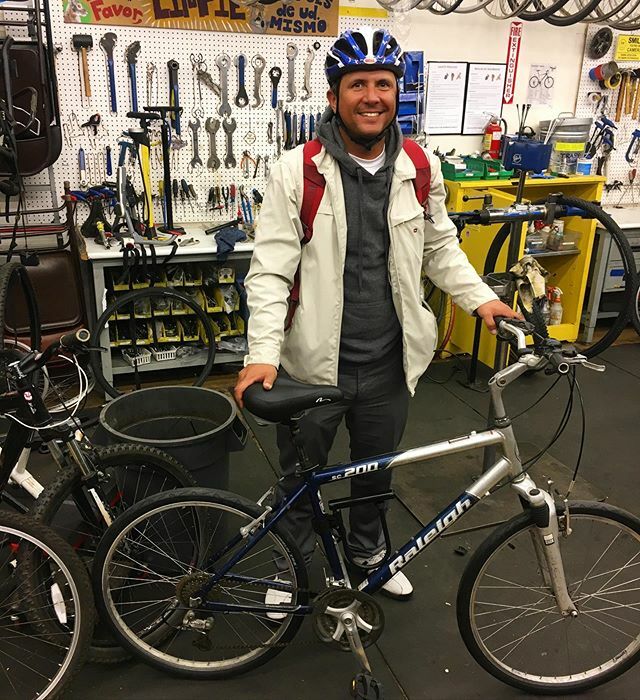 The Bicycle Tree tweet media