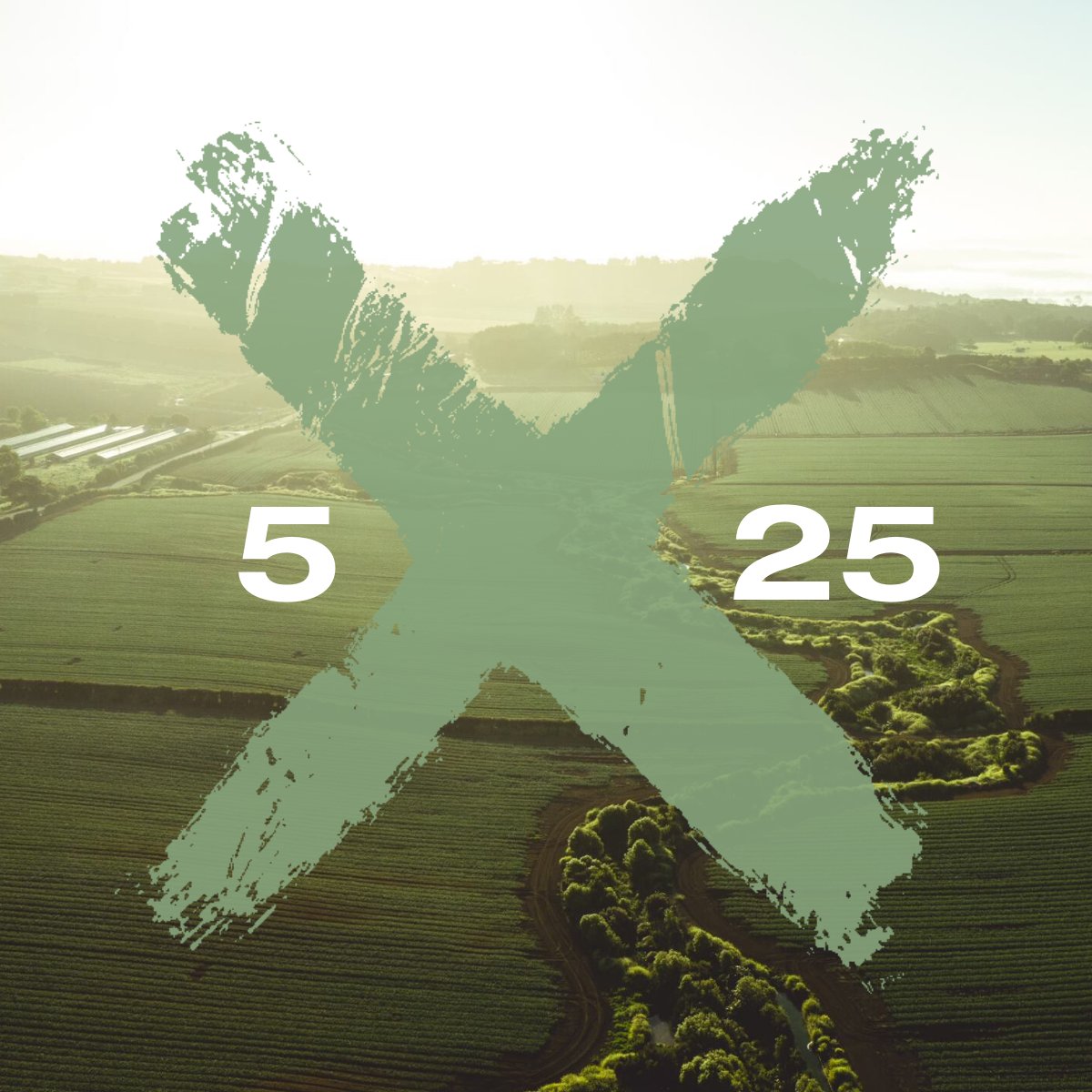 Circularity14's tweet image. Our 5th business to join XLabs in 2020 is Balle Bros Group Ltd - fourth generation vegetable growers. 

Welcome to XLabs Balle Bros - we can&apos;t wait to see a circular model that brings more health to our plates.

lnkd.in/gM4zR6x
xlabs.nz

 #xlabs2020