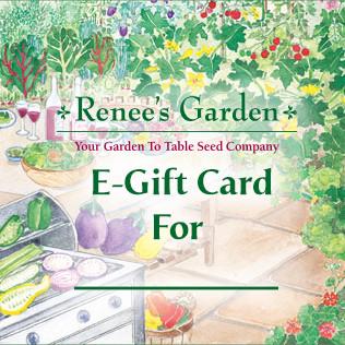 Last Minute Shoppers: 15% Off Our E-Gift Cards - mailchi.mp/reneesgarden/2…