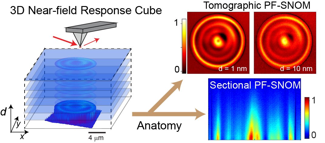 Our recent work in developing a peak force scattering-type near-field optical microscopy for collection of 3D near-field response cube of polaritonic structures at the #Nanoscale pubs.rsc.org/en/content/art…