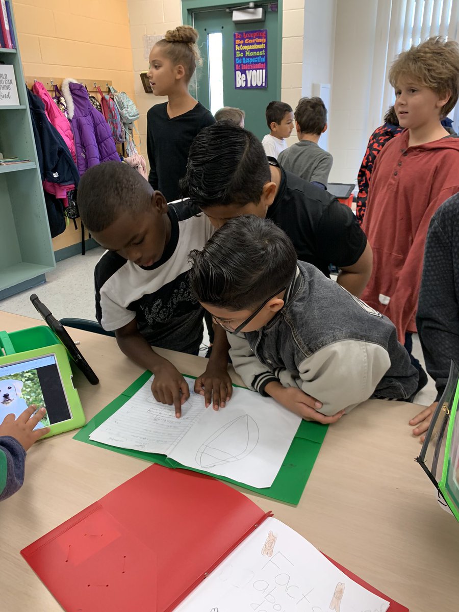 Mrs_Hansen3rd's tweet photo. Our 3rd graders celebrated their hard work on their informational writing by sharing with the other classes! @sunrayexplorers #sunraysoars https://t.co/l4sipALtb3
