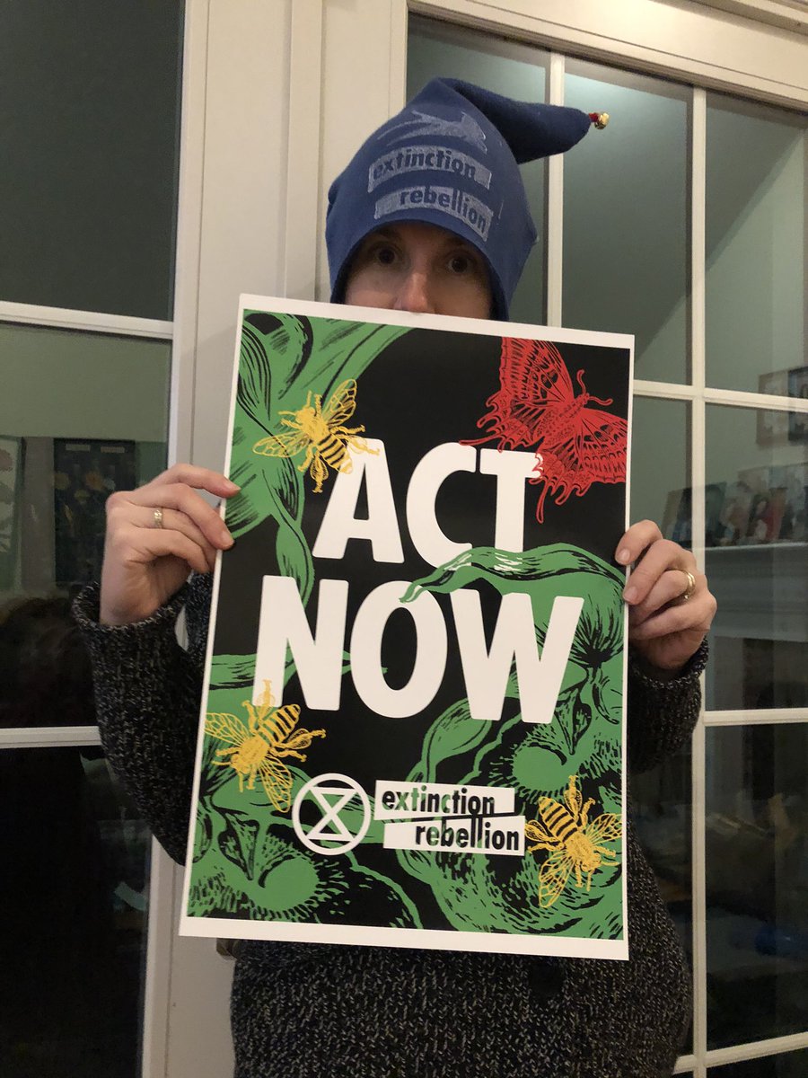 kfordauthor's tweet photo. @NYGovCuomo @RepSeanMaloney @JamesSkoufis XR Santa and his elves have a message for our politicians: Act Now on climate change and say no to the Danskammer Fracked gas plant. #xrnyc #climateemergency #actnow https://t.co/GWXRGx8gfh