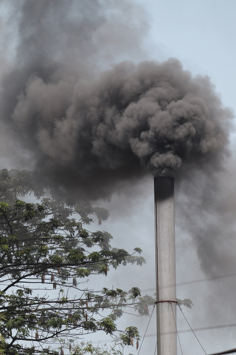 JPetrlik's tweet photo. Well, this is really interesting statement. Eat chicken and eggs, and you will be safe forever :-)! It is hard to be smart even for chicken in village polluted by burning #plasticwaste #stopdioxin #StopPlasticPollution. #incineration or #wastetoenergy is not #circulareconomy https://t.co/2v1I7OVFaZ
