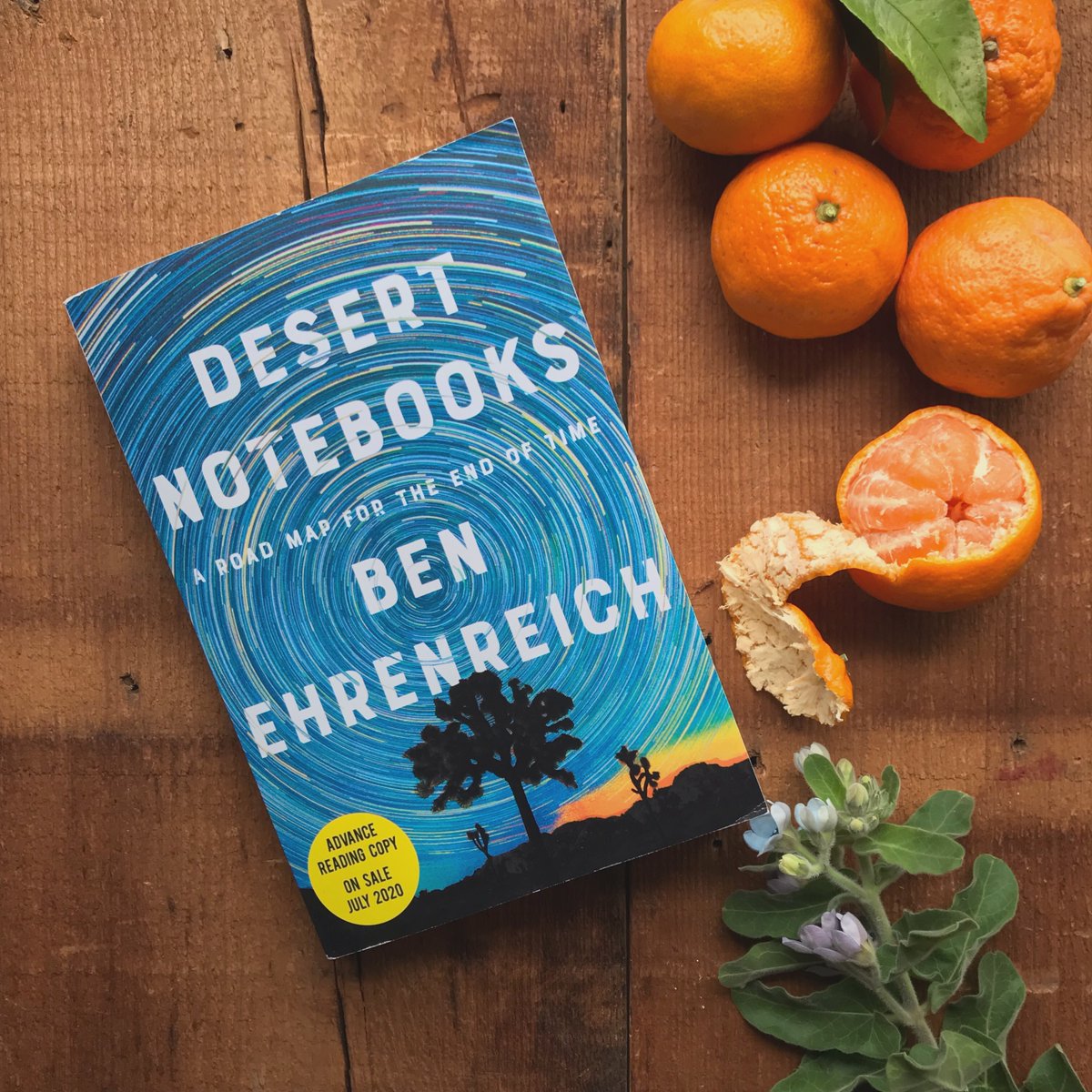 New in our PDX office, ARCs of @BenEhrenreich's Desert Notebooks: A Road Map for the End of Time, layering climate science, mythologies, nature writing, and personal experiences into a stunning reckoning of our current moment. In stores July, 2020. bit.ly/desertnotebooks