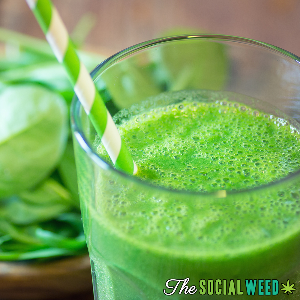 All the best things in life come in GREEN! And this Garden Greens juice recipe lives up to the standards of one of our most favorite colors and even flavors! Give it a try and let us know what you think! Find the recipe at TheSocialWeed.com/recipes!

#TheSocialWeed #ThirstyThursday