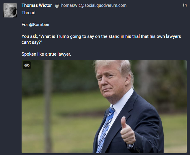 numberonepal's tweet photo. Perspective from the great Thomas Wictor.
#PeachMints #SenateTrial https://t.co/pWIspVdcYY