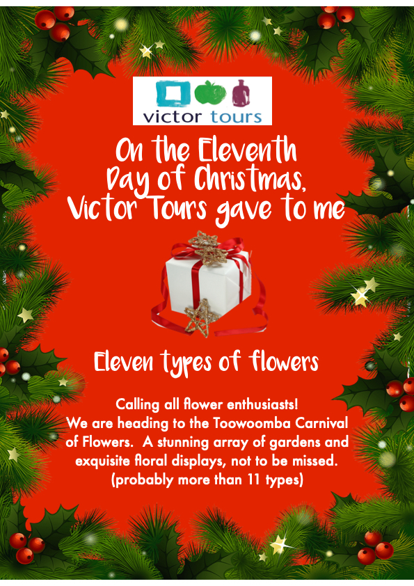 VictorTours's tweet photo. On the 11th Day of #Christmas... #VictorTours gave to me...11?

10 Wild Animals
9 Days #FlindersRanges
8 Nights #AutumnLeaves
7 Days on #LordHowe
6 Wines for tasting
5 DAY GLAM TOURS!
A #4WD Bus
3 Days at Christmas
2 #MysteryTours
and a Charismatic Coach Driver https://t.co/8R73Sdez9L