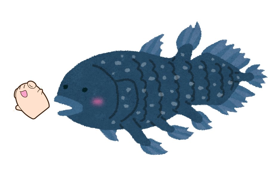 株式会社コアデ おはようございます 今日は シーラカンスの日 今日のイラストはシーラカンスと戯れるハニーの図