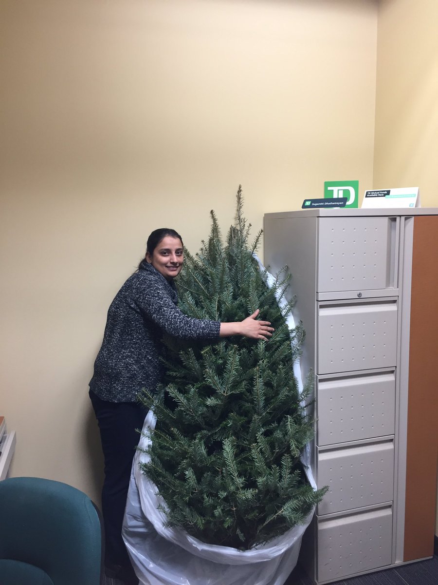 sd_lapointe's tweet photo. Some employees receive Chocolates from our customers to show their appreciation for everything they do... Sue received this beautiful Christmas Tree! #appreciation  @NicoleKubica_TD @robghazal https://t.co/Gc6gaWxQ0e