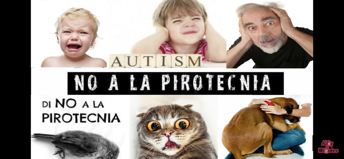 KloyBigotes's tweet photo. Esta temporada de fiesta di NO A LA PIROTECNIA "ya que hace más daño de lo que divierte"
#NoAlaPirotecnia #gatos https://t.co/y0EZAS4GPJ