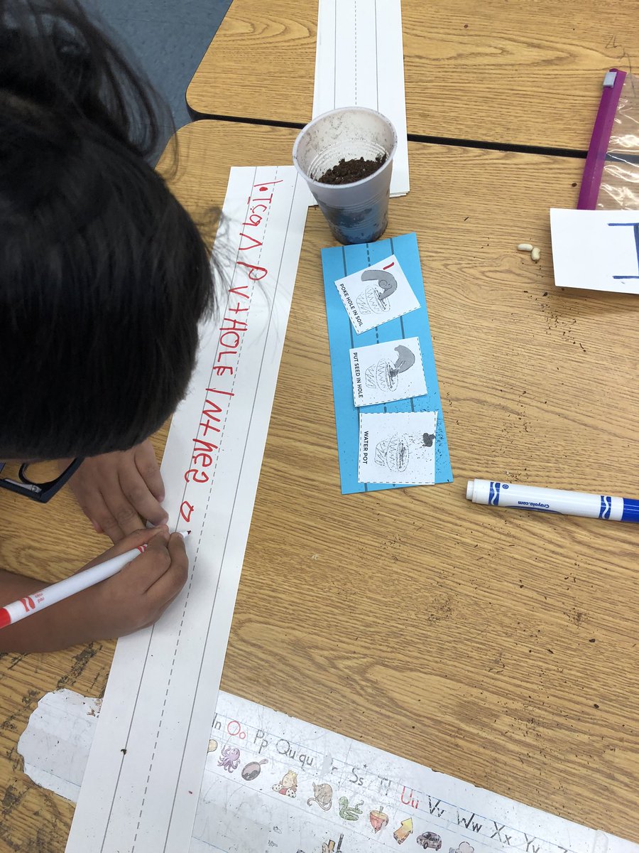 GuttieriJessica's tweet photo. Students followed an algorithm to plant a seed and then wrote out the steps they followed! #nycdoe #kindergarten #code.org #unplugged #cs4all #CSforAll #paperprogramming https://t.co/VtYkRhM7Ua