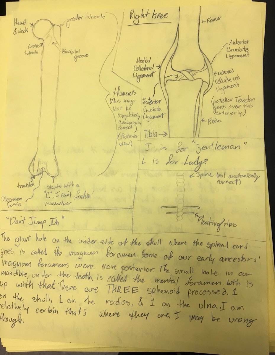SteveOttmer's tweet photo. Sometimes students know so much more than your test questions give them the opportunity to show. Adding a blank page into the test was another way for them to demonstrate learning. https://t.co/EjKmmEZUMw