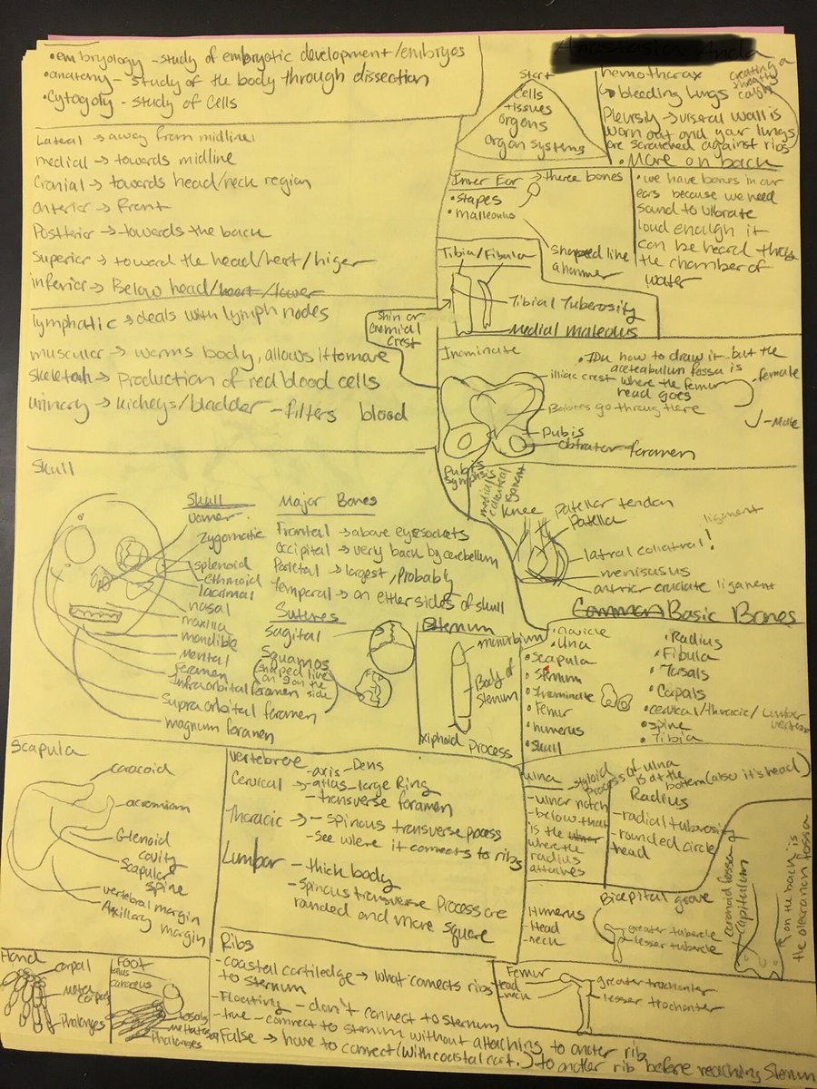 Sometimes students know so much more than your test questions give them the opportunity to show. Adding a blank page into the test was another way for them to demonstrate learning.