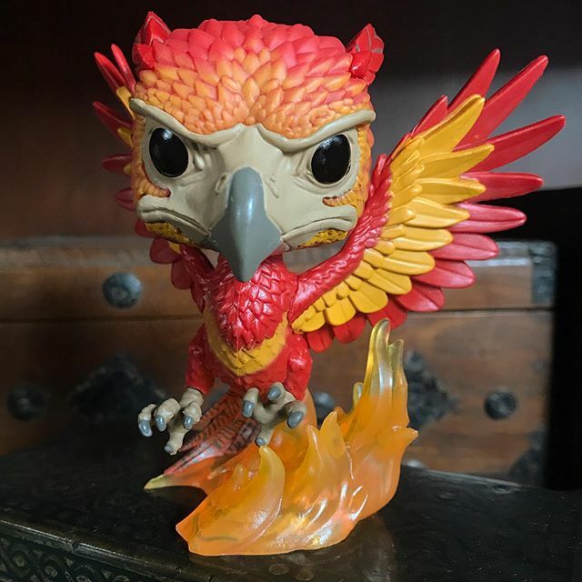 fabgelous's tweet photo. Always be a phoenix. Rise (and shine) from the ashes!
.
.
.
.
.
[#filbars #filbarsonline #funko #funkopop #popvinyl #popharrypotter #harrypotter #jkrowling #wizardingworld #wizardingworldofharrypotter #books #fawkes #fantasticbeasts #fantasticbeastsandwh… https://t.co/sOW2yRpTmu https://t.co/Fx7fbNBxTC