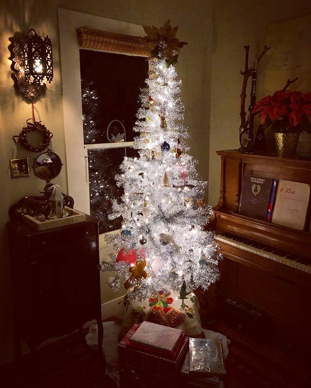 lslindell's tweet photo. always wanted a tinsel tree so here she is💥🎄🎉 @ #808ell https://t.co/WpkGDISYzL https://t.co/4opmEWfCoX