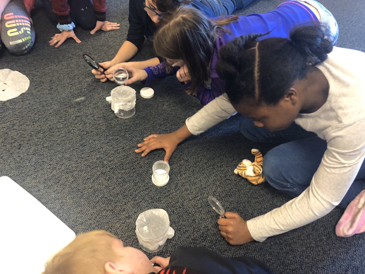 Filtered our melted snow today after being inspired by our read aloud “A Long Walk to Water”.  Can’t believe what we found!  <a href="/FESTigersHSE/">Fishers Elementary School</a> #HSEFutureReady