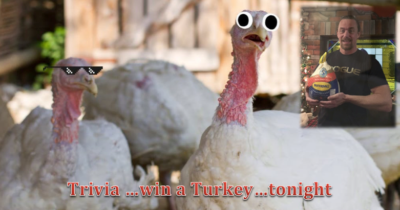 BobbysPlaceYYC's tweet photo. Happy TRIVIA Turkey THURSDAY everyone...come out and join the fun! Come early and enjoy our Turkey Yorkie Dinner, we've got EggNog, and so much more! #trivia #triviathursday #turkey #christmas #pubquiz #localpub @BobbysPlaceYYC https://t.co/RE86kdx9lg